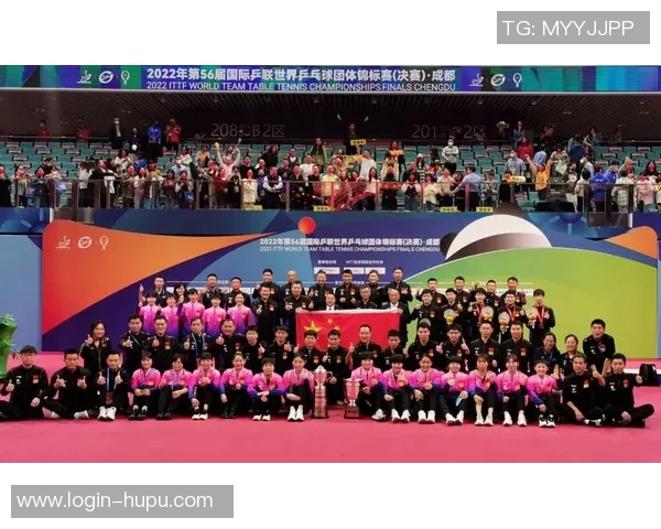 成都乒乓球队的整体压制策略与深度分析探讨